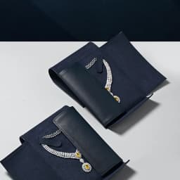 Oirlv Luxury Necklace Storage Case - Premium Faux Leather Exterior Soft Suede Interior, Jewelry Organizer for High-End Necklaces