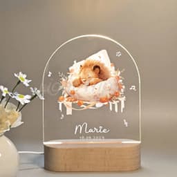 Personalized Children Animal Lamp Custom First Name 3D Night Light For Baby Kids Bedroom Home Decoration Birthday Christmas Gift