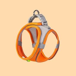 Pet Cat Dog Harness Vest Chest Rope Set Reflective Breathable Adjustable Pets Harness Kitten Collar for Small Medium Dogs Cats