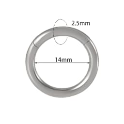 1PC Surgical Steel Nose Rings Septum Clicker Segment Hinged Ring Nose Ear Cartilage Tragus Helix Ear Lobe Body Piercing Jewelry