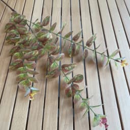 10Pc 3D Printing Eucalyptus Leaves Artificial Plants Wedding Road Leads Flower Arrangement Home Decoration Party Eucalyptus Leaf