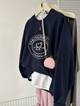 Afashion Spring 2026 Chic Embroidered Letter Sheep Loose Women's Sweatshirt Korean Style round Neck Long Sleeve Casual Comforta