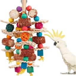 Colorful Wooden Parrot Chew Toys, Interactive Bite Bird Toys with Various Shapes for Large Parrots Pet Supplies