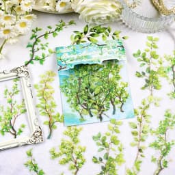 20/120 pcs Plants Flowers Leaf PET Sticker pack Scrapbooking Collage Junk Journal Planner Hand account Decor Stationery Stickers