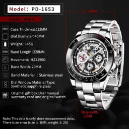 PAGANI DESIGN Men Automatic Mechanical Watch Skeleton Hollow Dial100M Waterproof Stainless Steel Sport Wristwatch Reloj Hombre
