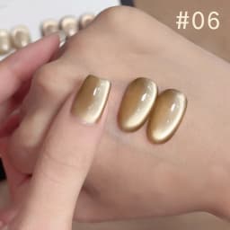 10ML 1-10PCS Winter New Style Hot Selling Black Nails Brown Nails Glass Bead Magnet Cat Eye Nail Polish Nail Set Nail Supplies