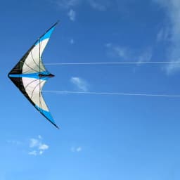 NEW Arrive 48 Inch Blue Professional Dual Line Stunt Kite With Handle And Line Good Flying Factory Outlet