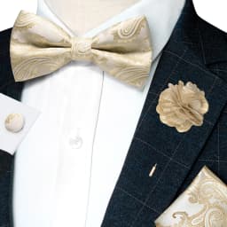 Classic Mens Bow Tie Brown Jacquard Paisley Bowtie Hanky Cufflinks Brooch Set Wedding party Butterfly Knot Gift Man Accessories