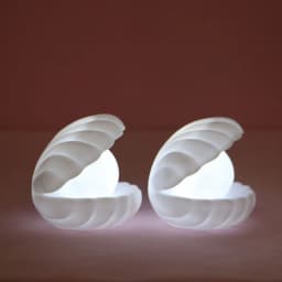 Creative DIY Moonlight Shell Small Night Light LED Feature Assembly Home Decoration Exquisite Kids Toys Adult Gifts
