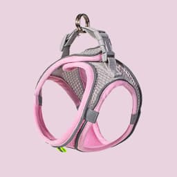 Pet Cat Dog Harness Vest Chest Rope Set Reflective Breathable Adjustable Pets Harness Kitten Collar for Small Medium Dogs Cats