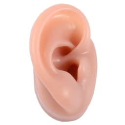 1 Pieces New Silicone Ear Model Professional Practice Piercing Tools Earring Ear Stud Display Tools Can Be Reused Body Jewelry
