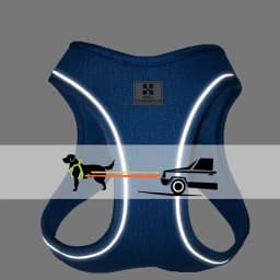SMALL COMBINATION Small Dog Harness Leash Set Soft Reflective for Puppy Cat Harness Pet Vest Chihuaahua Sausage Outdoor Walking