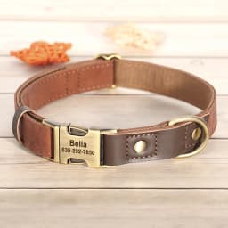 Personalized Dog Collar Leash PU Leather Dog Collars With Walking Lead Rope Free Custom Pet ID Necklace for Small Large Dogs Pug