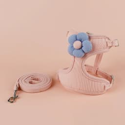 Cat Harness and Leash Sets Adjustable Dog Harness for Small Dog Leash Breashable Pet Harness Out Walking Dog Strap Cat Accessory