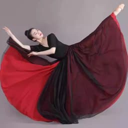 Double Layer Contrast Color Modern Dance Skirt Large Swing Half Body Skirt Performance Costume for Art Students Chiffon Material