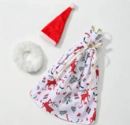 New style Toy accessories gift pretty clothes for your BB FR 1/6 scale dolls BBIKD21P