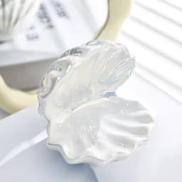 Seashell Jewelry Tray Key Holder Ring Dish Necklace Storage Display ganizer Shell Bowl Trinket Box wedding Seashell gift Boxes