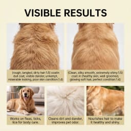 Pet Flea Tick Lice Removal Shampoo Deep Cleansing Dander Removing Deodorizing Anti-Itch Anti-Parasite Dog Cat Bath Shampoo 100ml