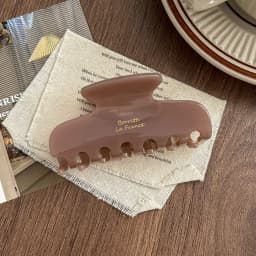 1pc Korean France Acetate Grab Clip, Simple Retro French Elegant Temperament Back of the Head Coil Hair Shark Clip Hairpin