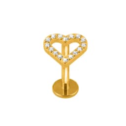 ASTM F136 G23 Titanium Flower Moon Heart Threadless Piercing Leaf Drop Pin Push in Lip Stud Daith Conch Earring 16G 18G 20G