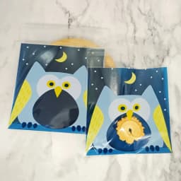 Flower Dot Bow Plastic Bag Wedding Birthday Cookie Candy Gift Packaging Bags OPP Self Adhesive Party Favors Decoration 14x14cm