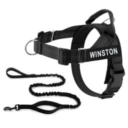 Custom Name No Pull Dog Harness Elastic Buffer Leash Set Adjustable Reflective Nylon Walking Lead for Small Medium Large Dogs