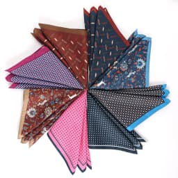 Tailor Smith Men's Classic Red Khaki Print Dot Handkerchiefs Paisley Floral Pockets Square Wedding Hankies Business Gift for Him