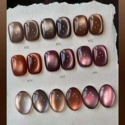 10ML 1-10PCS Winter New Style Hot Selling Black Nails Brown Nails Glass Bead Magnet Cat Eye Nail Polish Nail Set Nail Supplies