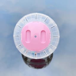 Funny Hamster Toys Spherical Translucent Treadmill for Rats Hamsters Pet Running Toy Durable Plastic Ball Diameter 10-14.5 CM