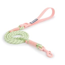Pet Supplies Dog Collar For Small and Medium Dog Walking Sugar Color Series Cute Style PVC Webbing Collar Leashes Set New Arriva