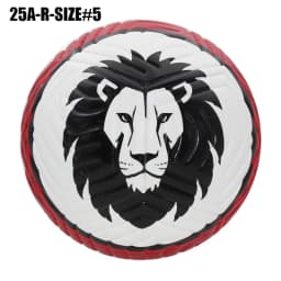 2026 Soccer Balls Professional Size 5 PU Material High Quality Seamless Ball Goal Team Match Training Football Outdoor futbol