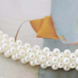 Pearl Bag Strap Shoulder Bag Chain Bag Chain Bags Straps Replacement Handles Purse Belts Beaded Handbag Belt Bags Accessories