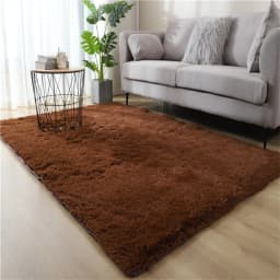New Thick Carpet for Living Room Plush Rug Children Bed Room Fluffy Floor Carpets Window Bedside Home Decor Rugs Soft Velvet Mat