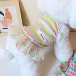Thin Cooling Dog Dress Striped Dog Clothes Summer Puppy Skirts Girls Dog Costume Chihuahua Clothing Bichon Dog Supplies 2026 New