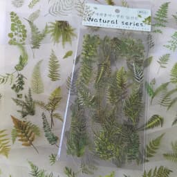 6 pcs/pack PET Plants Flowers Stickers DIY Scrapbooking Planner Decoration Collage Diary Supplies Aesthetics Stationery Sticker