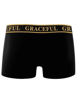 4 Piece Men's Underwear Soft Breathable Comfortable Men's Boxer Briefs High-end Black Casual Sports High Quality Men's Pants