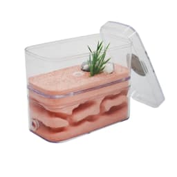 Highly Moisturizing Ant Farm Plaster Ant Nest Insect Box with Workshop Pet Anthill Castle Natural Ecological Ant House 12*6*10cm