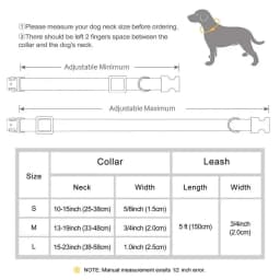 Personalized Dog Collar Leash PU Leather Dog Collars With Walking Lead Rope Free Custom Pet ID Necklace for Small Large Dogs Pug