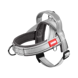Dog Pet Chest Harness Wide Webbing Two-Color Contrasting Four Seadon Dog Harness Nylon Handle Outdoor Dog Walking Reflective