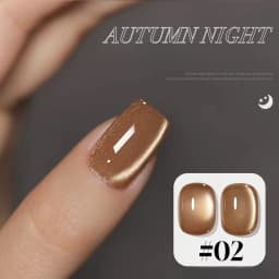 10ML 1-10PCS Winter New Style Hot Selling Black Nails Brown Nails Glass Bead Magnet Cat Eye Nail Polish Nail Set Nail Supplies