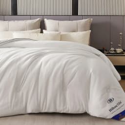 Hotel Style Comforter Queen King Lightweight Fluffy Comfortable and Breathable Soft Winter Quilt Very Warm 220x240 Quilts Blanke