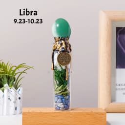 1PC Natural Crystal Zodiac Wishing Bottle, Magic Energy Healing Stone Drifting Bottle with Raw Stones, Spiritual Divination Reik