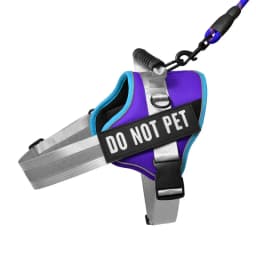 Nylon Reflective Dog Harness Personalized Breathable Dog Harness With ID Name Tag Pet Harness for Small Medium Large Dogs