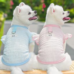 XS-XXL Thin Dog Cooling Vest Breathable Clothes Puppy Pet Costume for Small Dogs Cute Fruit Print Puppy Cheap T-shirt