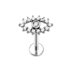 Heart Bird Flower Butterfly Labret Piercing Eye Shape Daith Conch Earring Teardrop CZ Lip Stud 316L Surgical Steel 16G