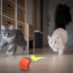 Interactive Cat Toy Ball Automatic Rolling Pet Toy USB Rechargeable Jumping Ball with Wagging Tail Smart Suitable For Cats Puppy