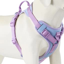 New Chocolate Color Luxury Dog Harness No Pull for Large Small Dogs Adjustable Chest Strap Dog Harness Personalized