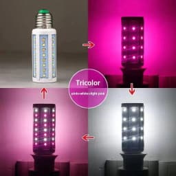 NEW Bulb E27 LED Colorful Corn Bulb 12W Pink Red Blue Green Purple Golden 7Colors Lamp AC 220V Bulb Chandelier Decoration