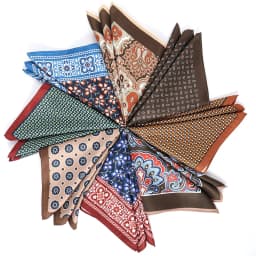 Tailor Smith Men's Classic Red Khaki Print Dot Handkerchiefs Paisley Floral Pockets Square Wedding Hankies Business Gift for Him