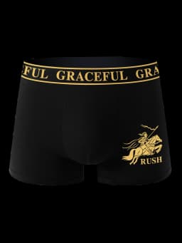 4 Piece Men's Underwear Soft Breathable Comfortable Men's Boxer Briefs High-end Black Casual Sports High Quality Men's Pants
